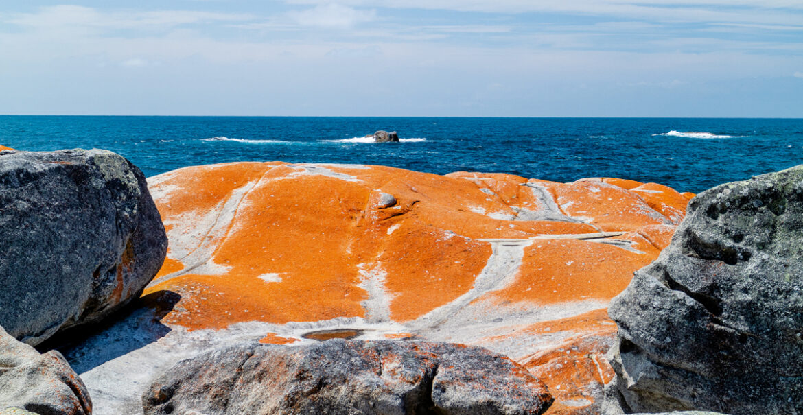 Northern Tasmania