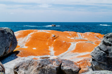 Northern Tasmania