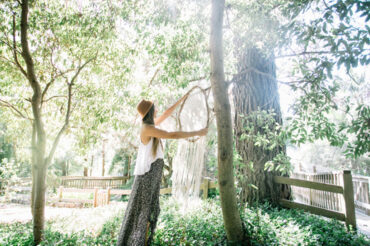 THE VINTAGE TREE