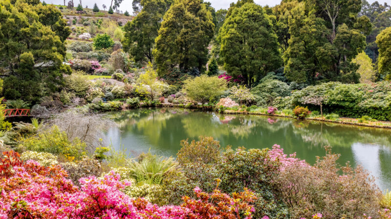 Tasmania
