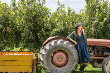 harvest