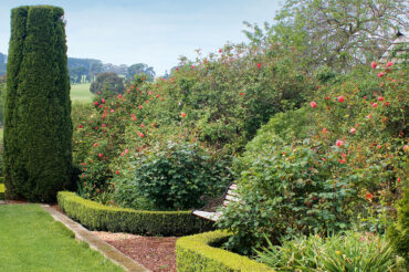 Sheriffmuir Garden