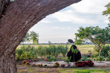 Homestead Garden