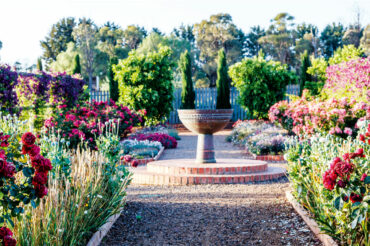 Lambley Garden