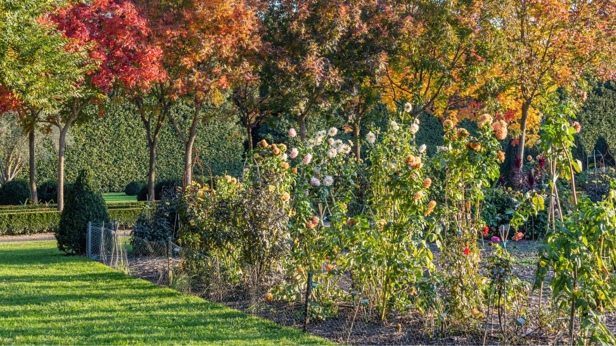 Floral Garden 