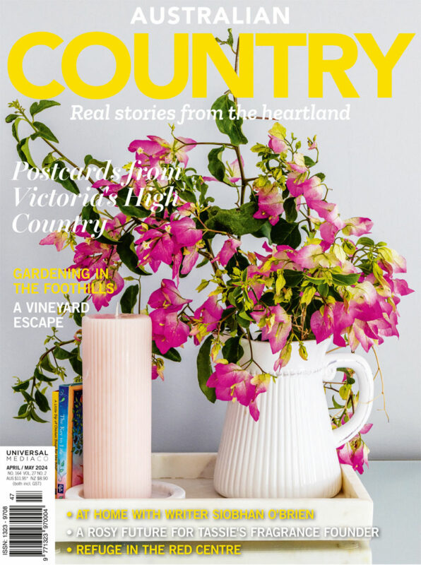 Ccs272 Cover