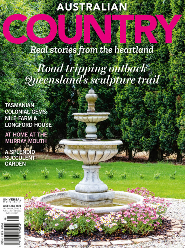 Ccs273 Cover