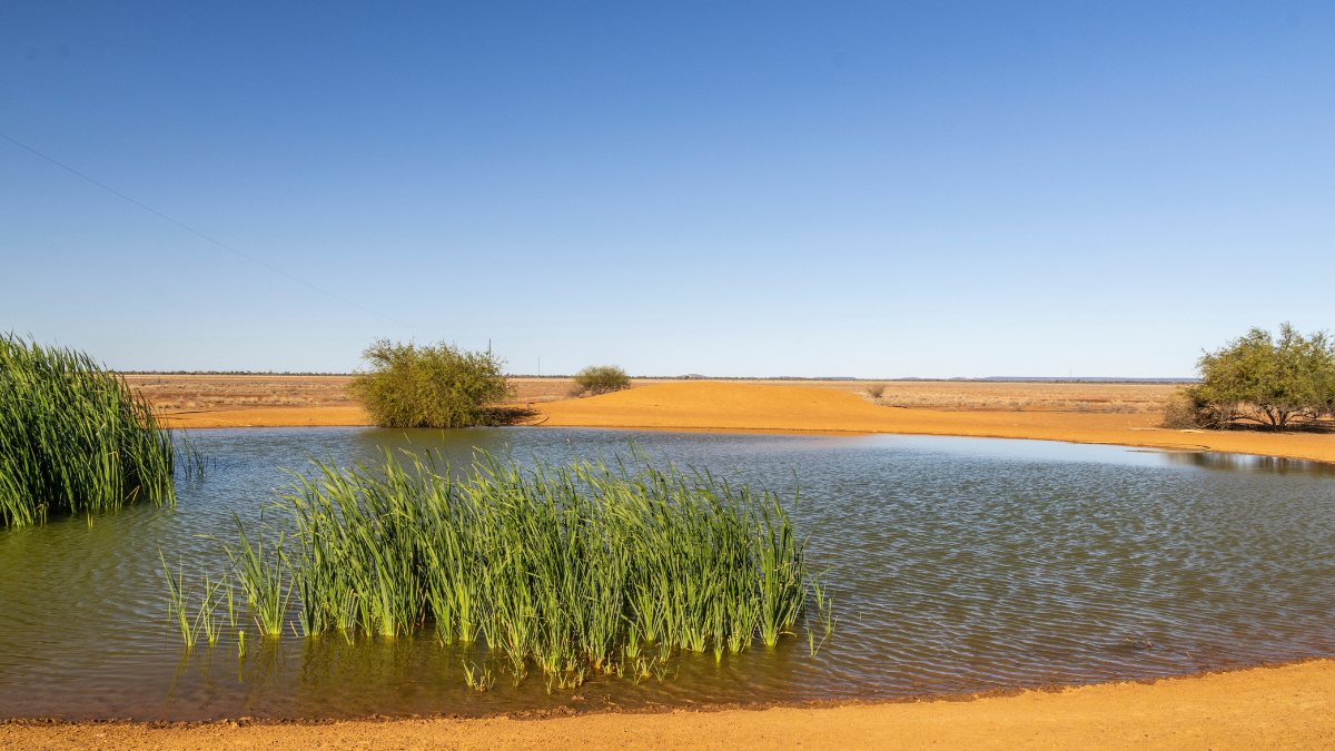 Lake in the outback