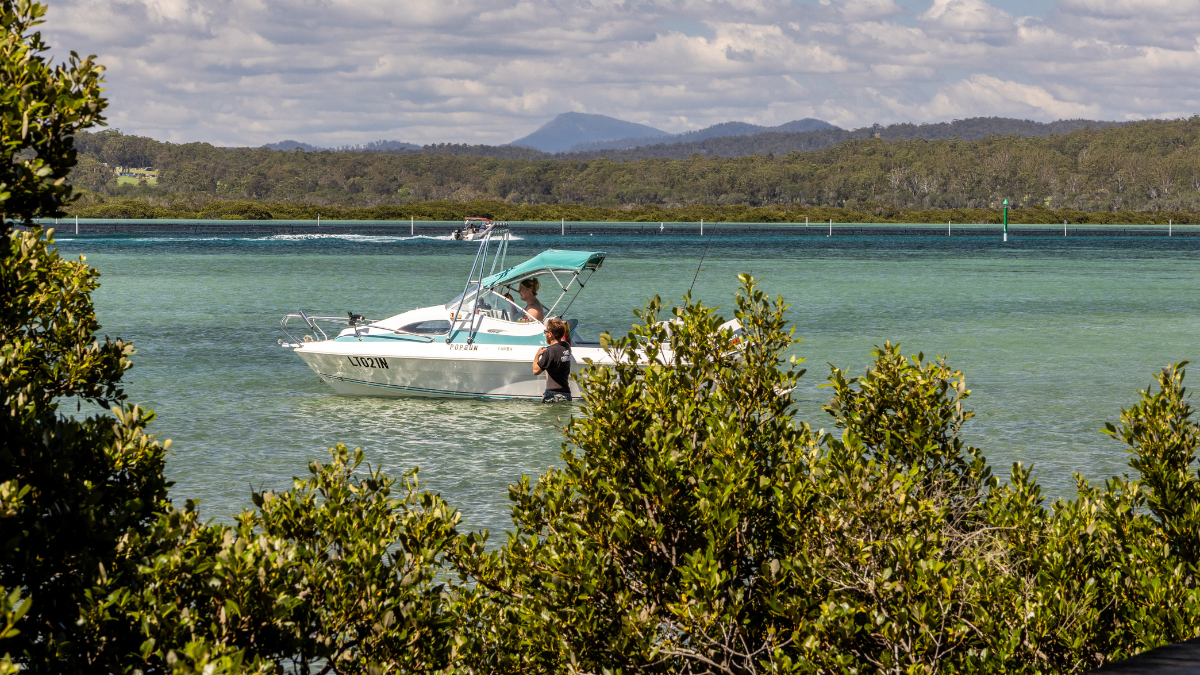 Bega and Beyond